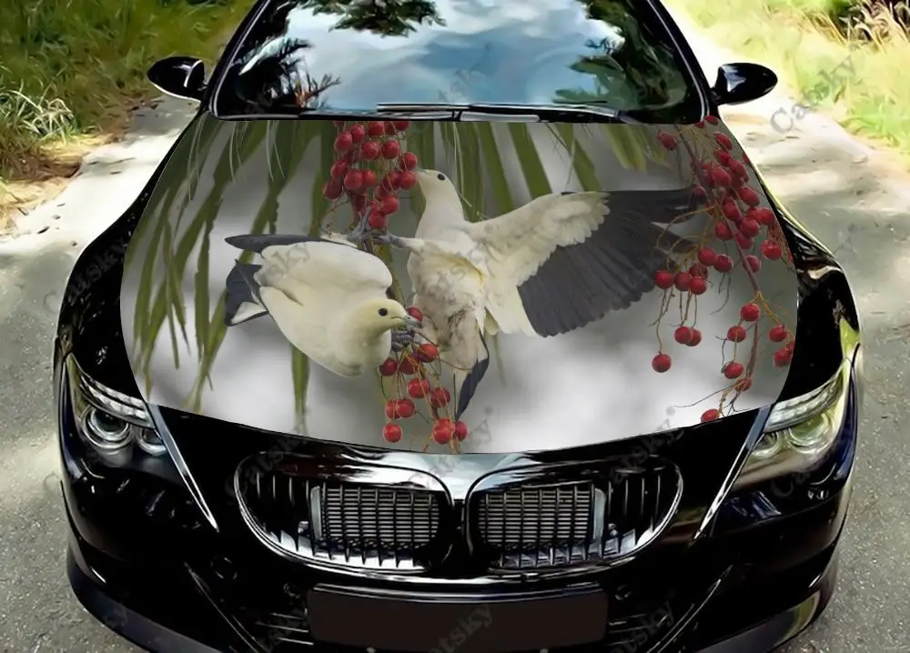 Animal - Pigeon Car Hood Vinyl Stickers Wrap Vinyl Film Engine Cover Decals Sticker Universal Car Hood Protective Film
Animal - Pigeon Car Hood Vinyl Stickers Wrap Vinyl Film Engine Cover Decals Sticker Universal Car Hood Protective Film