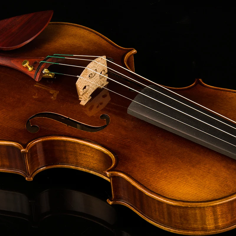 

Professional Violin CHRISTINA S600A Modern Varnish Handmade European Spruce Flame Maple with Case Bow