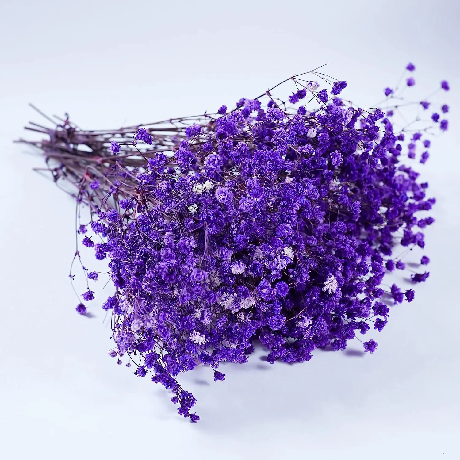 Purple Baby's Breath Dried Flowers, Home Decor, Photo Props, Parties, and Weddings.Rustic, Bohe,Romantic Decor Styles.DIY Crafts
Purple Baby's Breath Dried Flowers, Home Decor, Photo Props, Parties, and Weddings.Rustic, Bohe,Romantic Decor Styles.DIY Crafts