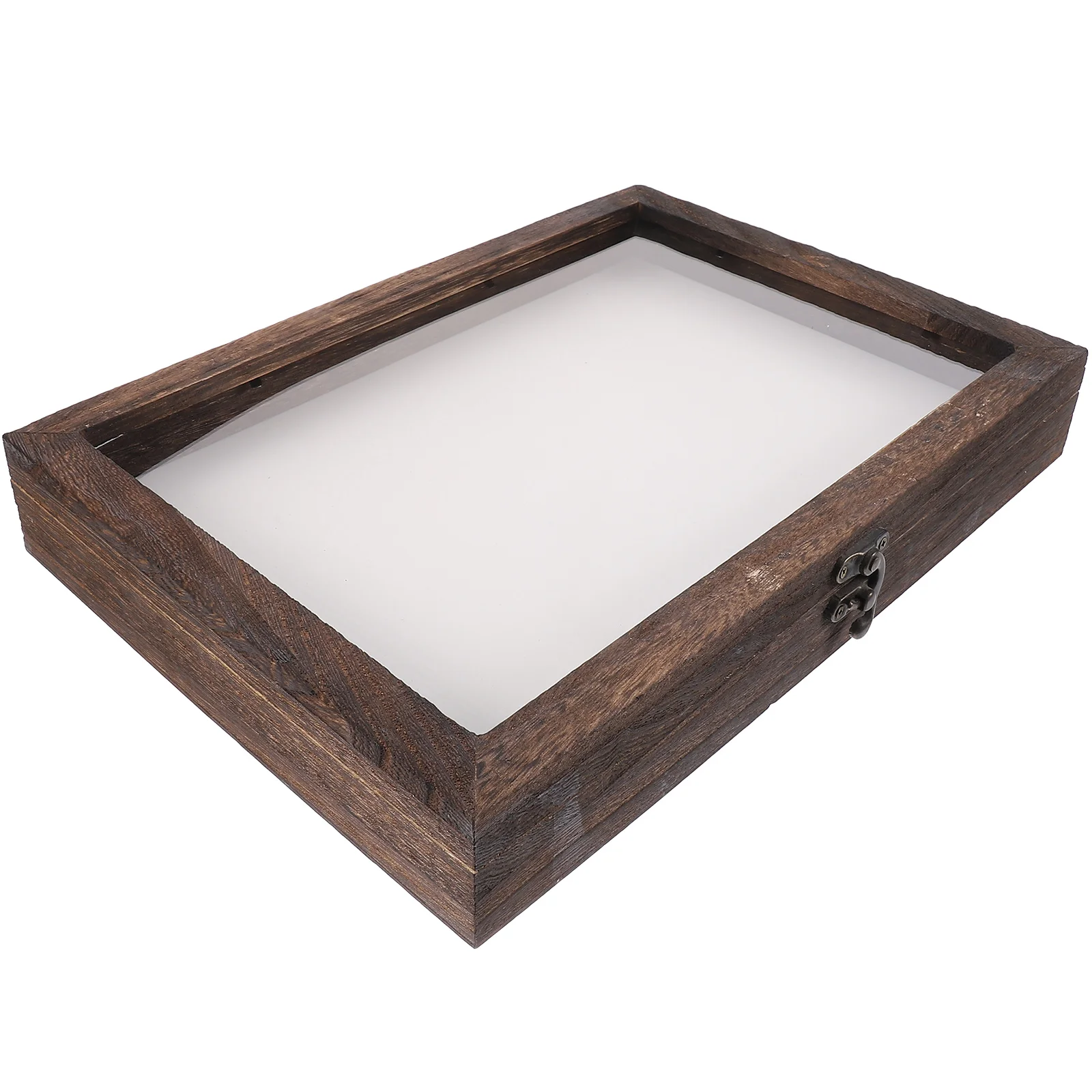 Insect Display Case Specimen Box: Wood Picture Frames Wooden Specimen Frame Shadow Box Frame for Dried Leaf Pressed Flowers
Insect Display Case Specimen Box: Wood Picture Frames Wooden Specimen Frame Shadow Box Frame for Dried Leaf Pressed Flowers