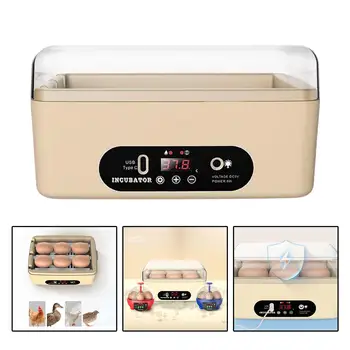 휴대용 자동 에그 브로더 치킨 인큐베이터, 비둘기 오리 에그 인큐베이터용 가정용 치킨 인큐베이터, 계란 6 개