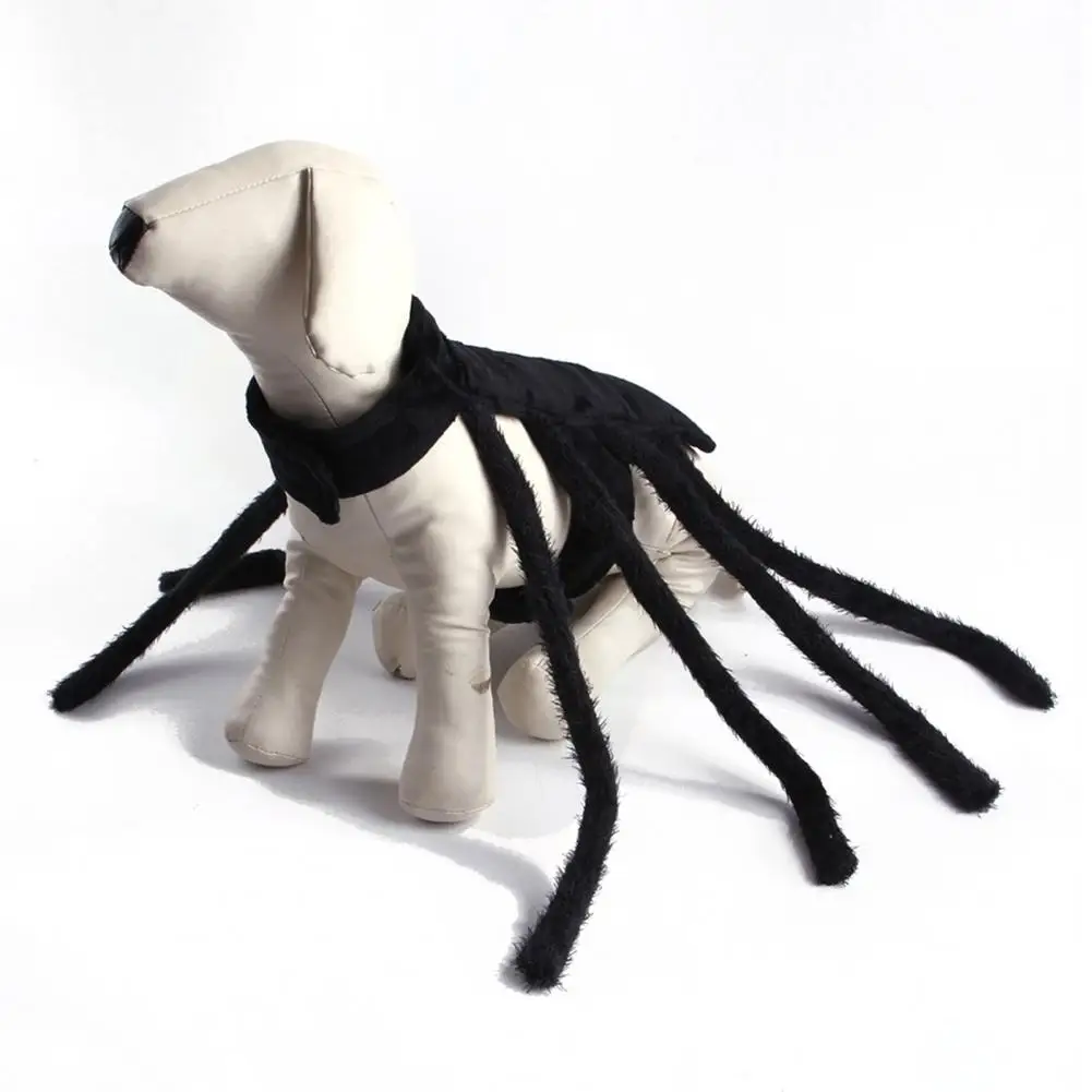 Pet Halloween Funny Spider Chest Back Soft Adjustable Fastener Tape Creative Cats Dogs Costume Halloween Festivities
Pet Halloween Funny Spider Chest Back Soft Adjustable Fastener Tape Creative Cats Dogs Costume Halloween Festivities