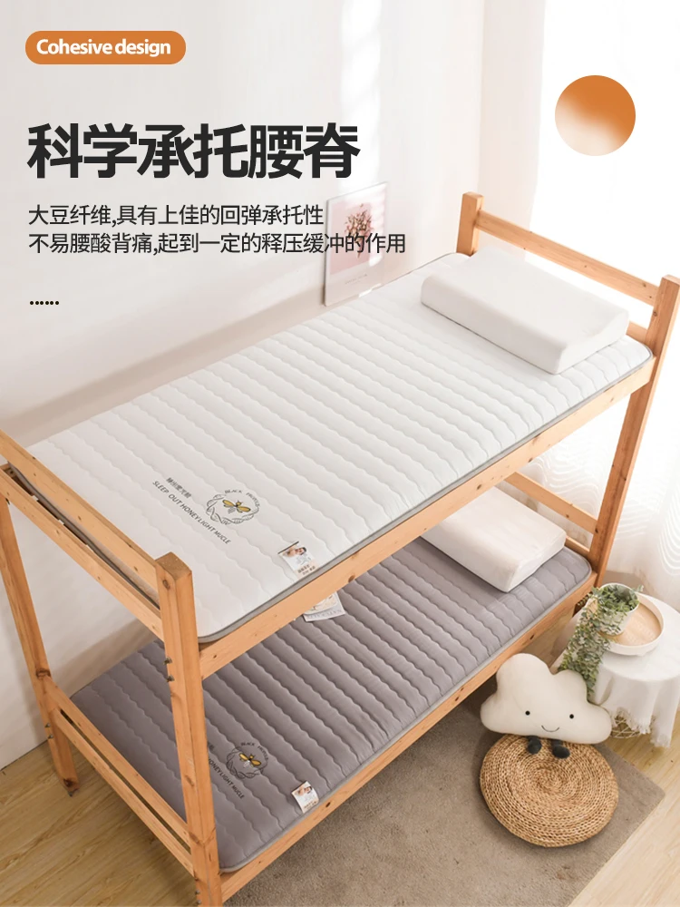 

Winter and summer person tatami mat dual-purpose cool mat, mattress cover, household soft mat, student dormitory single