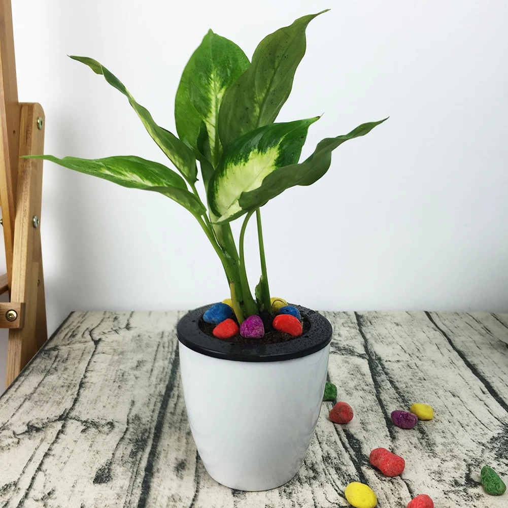 1pcs Lazy Flower Pot Imitation Porcelain Series Plastic Automatic Watering Pot Green Plant Home Decoration Flower Pot
1pcs Lazy Flower Pot Imitation Porcelain Series Plastic Automatic Watering Pot Green Plant Home Decoration Flower Pot
