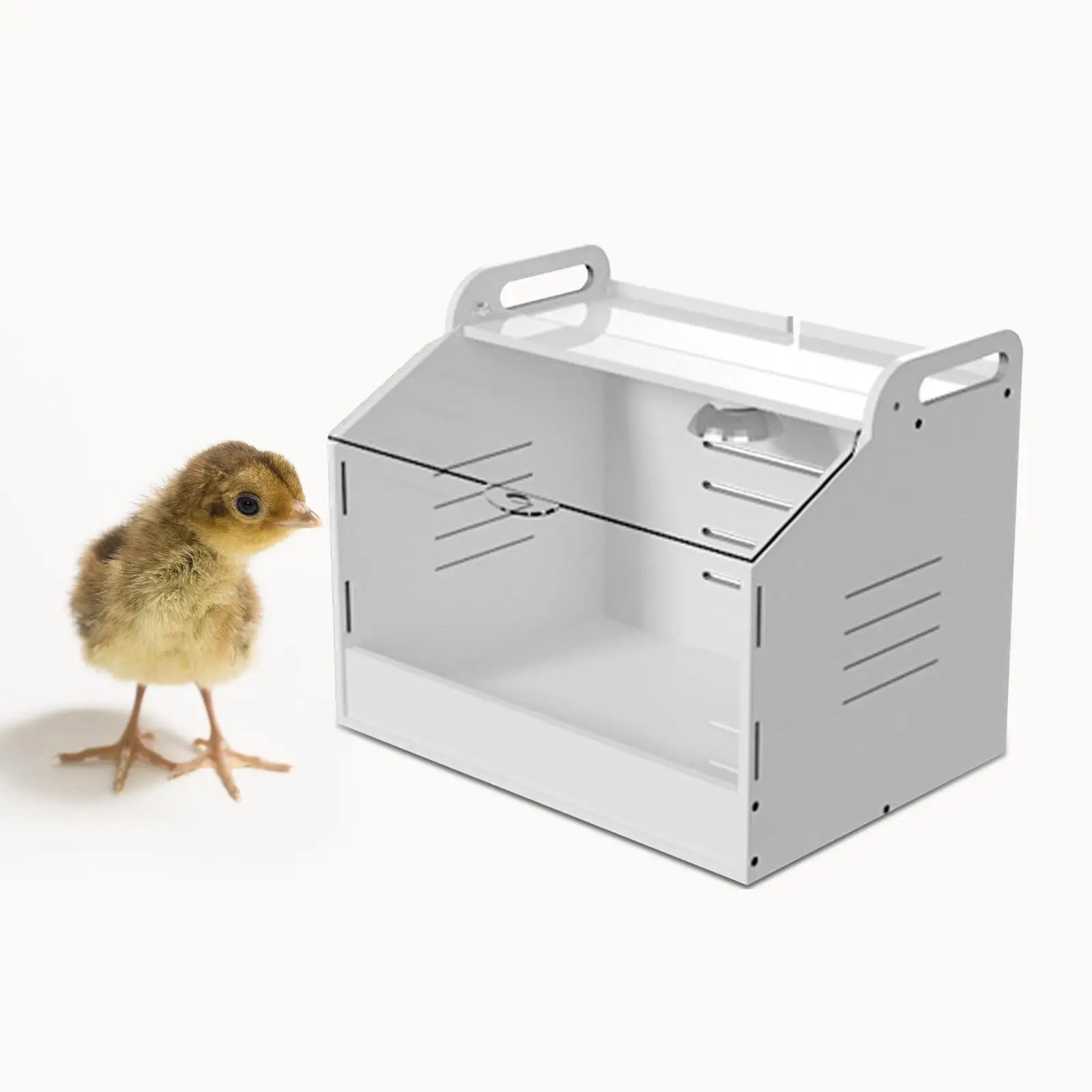 Egg Incubator Hatching Clear Top Cover Automatic Poultry Hatcher Machine for Duck
Egg Incubator Hatching Clear Top Cover Automatic Poultry Hatcher Machine for Duck