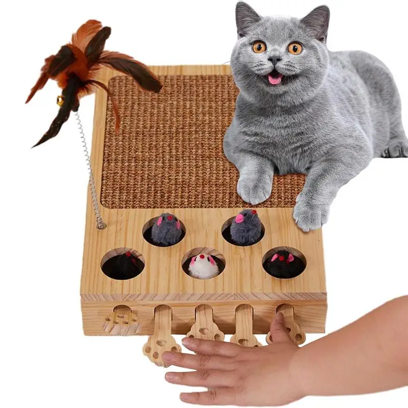 

Scratching Pads For Indoor Cats Interactive Cat Scratcher With Feather Fashionable Cat Playing Supplies 2 In 1 Funny Cat Toys