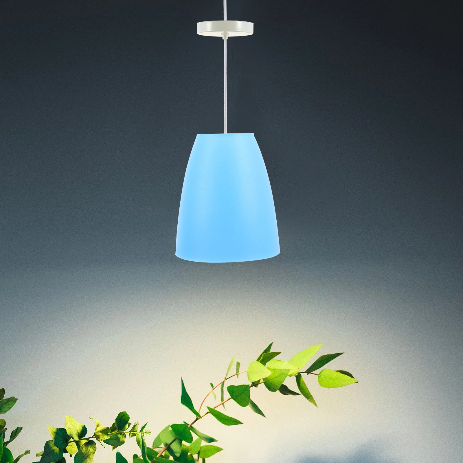 2 Pcs Lamp Shades for Floor Lamps Replacement Lampshade Light Bulbs Lampshades Small High Quality Wall
2 Pcs Lamp Shades for Floor Lamps Replacement Lampshade Light Bulbs Lampshades Small High Quality Wall