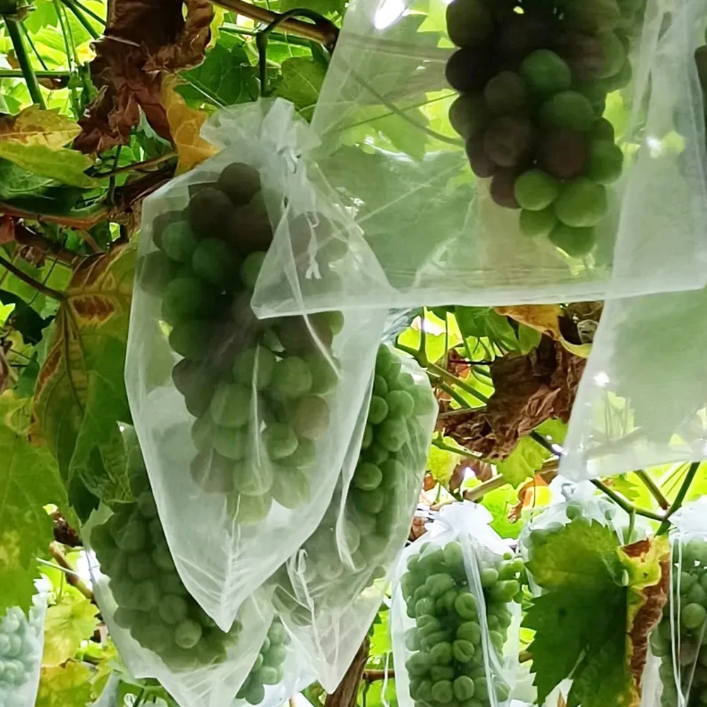 100Pcs Fruit Protection Netting Mesh For Strawberry Vegetable Gift Organza Bags Anti-Bird Garden Tools
100Pcs Fruit Protection Netting Mesh For Strawberry Vegetable Gift Organza Bags Anti-Bird Garden Tools
