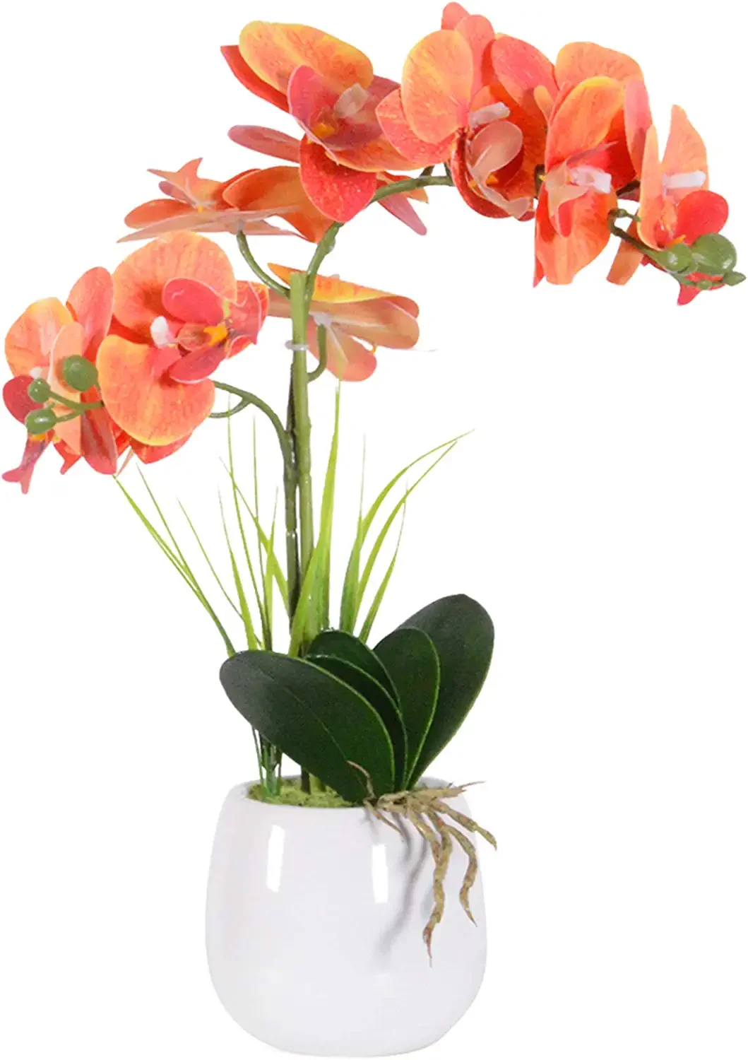 Decorative Phalaenopsis Artificial Flowers Arrangement Orchid Plants Bonsai Home Office Party Decoration with Vase
Decorative Phalaenopsis Artificial Flowers Arrangement Orchid Plants Bonsai Home Office Party Decoration with Vase