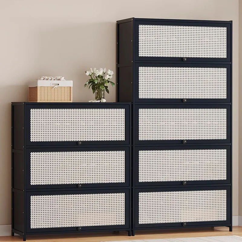 Storage Nordic Shoe Stand Organizer Cupboard Abinet Free Shipping Shoe Shelf Entrance Hall Shelves Zapateras House Furniture
Storage Nordic Shoe Stand Organizer Cupboard Abinet Free Shipping Shoe Shelf Entrance Hall Shelves Zapateras House Furniture