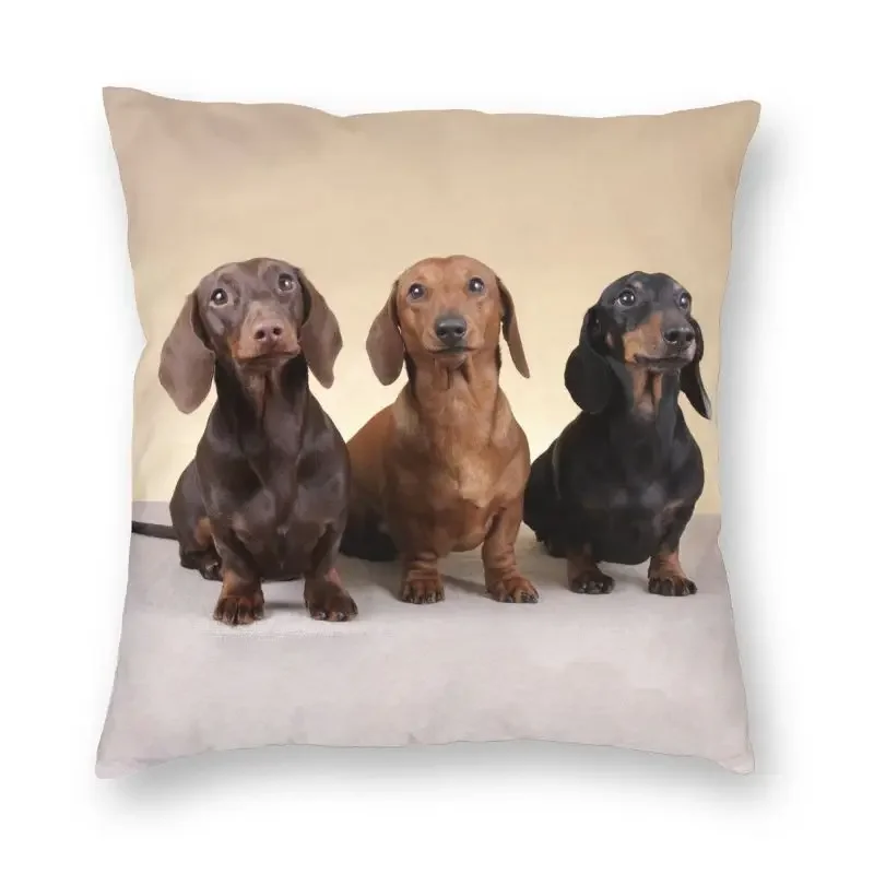 Dachshund Cushion Cover 40x40cm Decoration 3D Printing Badger Sausage the Wiener Dog Throw Pillow for Car Double-sided
Dachshund Cushion Cover 40x40cm Decoration 3D Printing Badger Sausage the Wiener Dog Throw Pillow for Car Double-sided