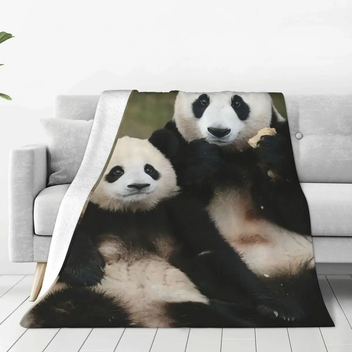 Fu Bao Fubao Panda Animal Blanket Lightweight Breathable Decorative Bed Throw Blankets for Luxury Bedding Sofa
Fu Bao Fubao Panda Animal Blanket Lightweight Breathable Decorative Bed Throw Blankets for Luxury Bedding Sofa