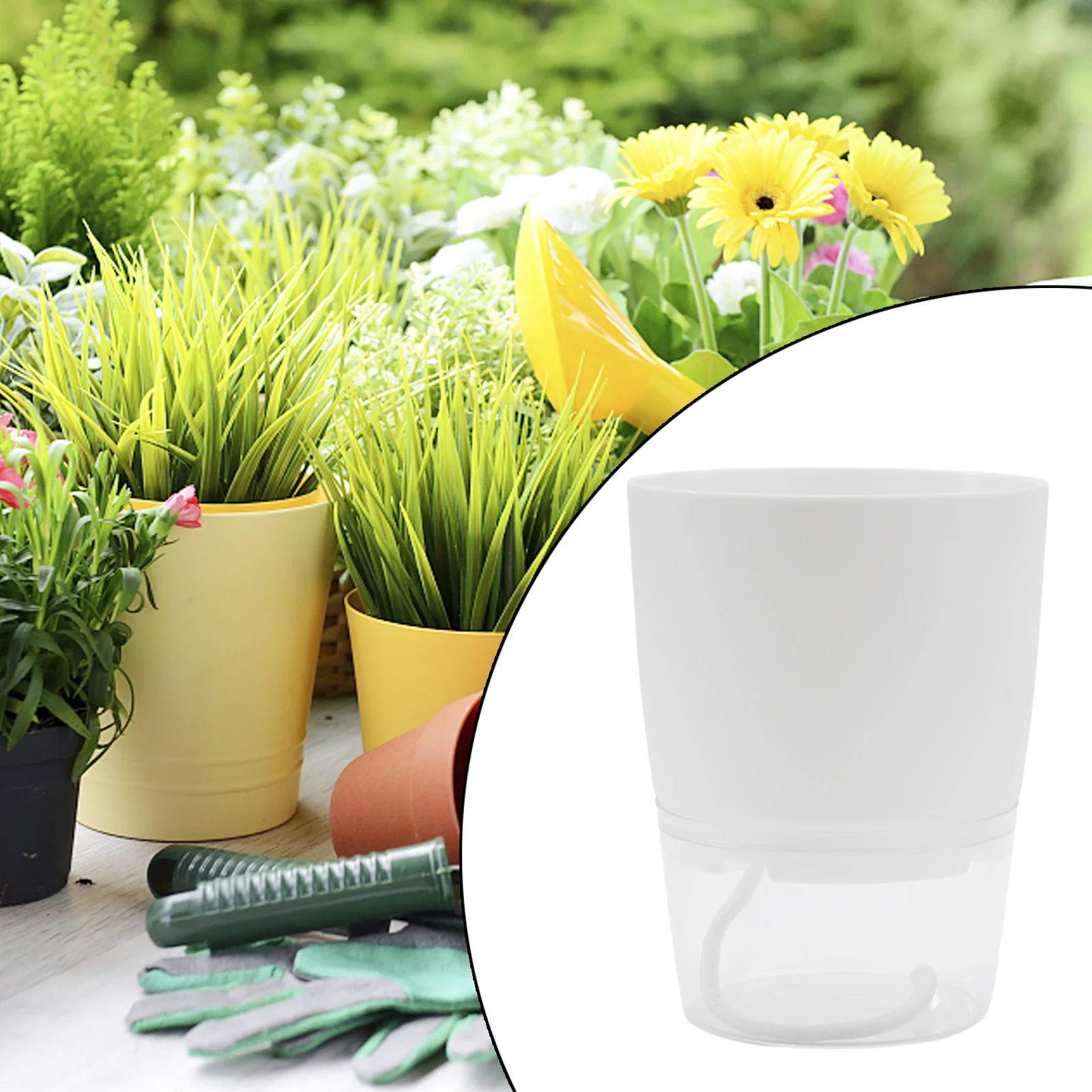 Garden Supplies Plant Pot Golden Devil's Ivy Herb Plastic Resin 15*11.5*8.7 Automatic Water For Sensitive Plants
Garden Supplies Plant Pot Golden Devil's Ivy Herb Plastic Resin 15*11.5*8.7 Automatic Water For Sensitive Plants