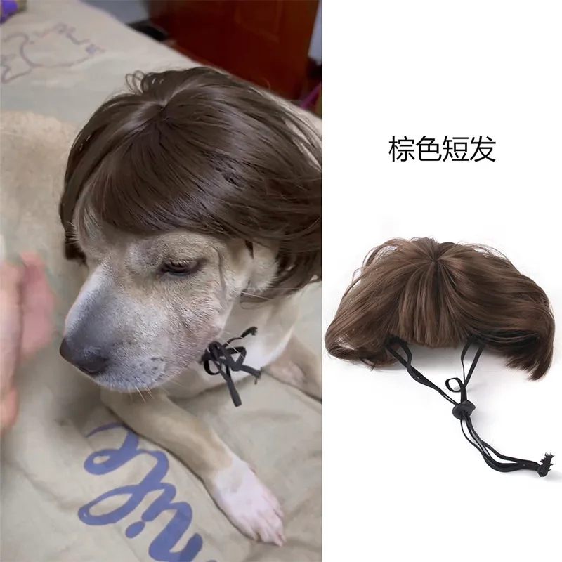 Pet Wigs Cosplay Props Funny Dogs Cats Cross-Dressing Hair Hat Costumes Head Accessories For Halloowen Christmas Pets Supplies
Pet Wigs Cosplay Props Funny Dogs Cats Cross-Dressing Hair Hat Costumes Head Accessories For Halloowen Christmas Pets Supplies