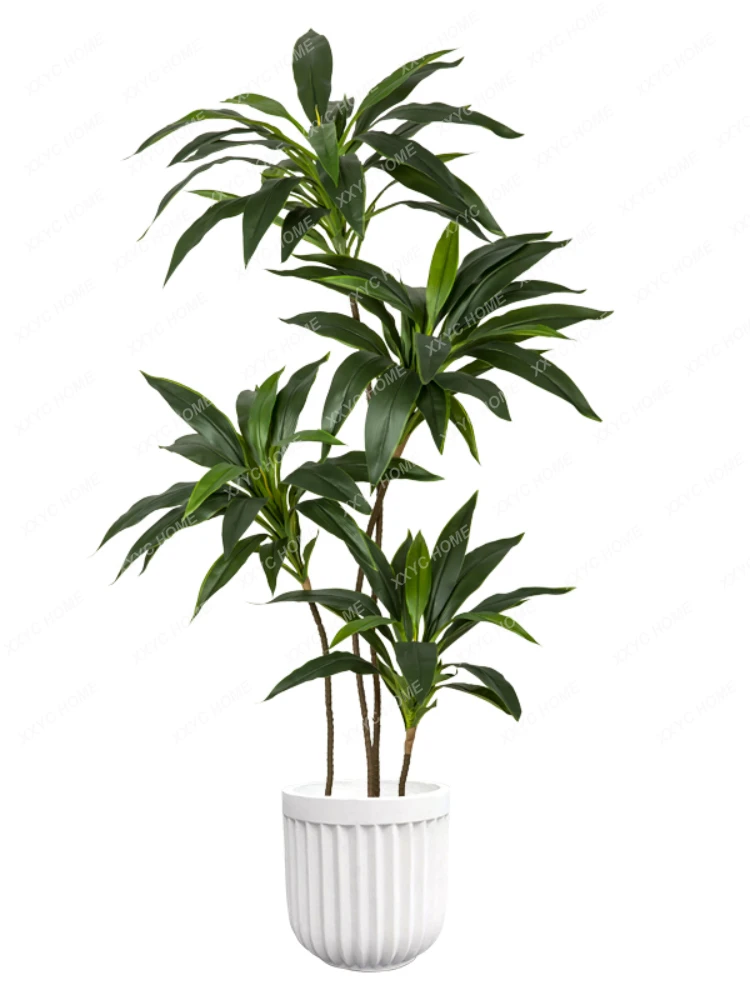 Green Plant Floor Bonsai Bionic Plant Velvet Fake Green Plant Living Room Decoration Entry Luxury Home Ornaments
Green Plant Floor Bonsai Bionic Plant Velvet Fake Green Plant Living Room Decoration Entry Luxury Home Ornaments
