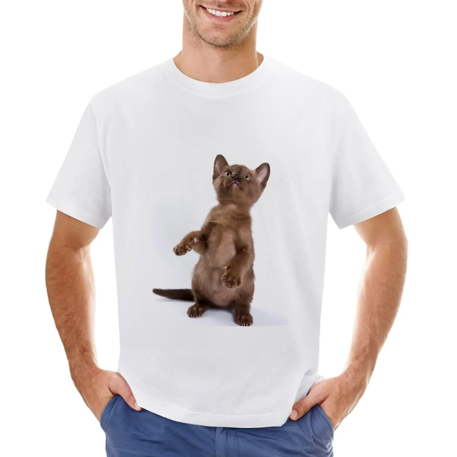 Brown Burmese kitten (isolated on white) T-Shirt aesthetic clothes sweat Short sleeve tee tshirts for men
Brown Burmese kitten (isolated on white) T-Shirt aesthetic clothes sweat Short sleeve tee tshirts for men
