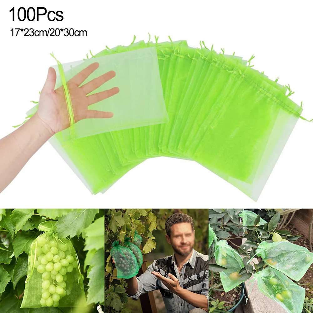 100Pc Grape Fruit Protection Netting Bags With Drawstring For Trees Garden Cover Mesh Bags To Protect Plants From Birds Squirrel
100Pc Grape Fruit Protection Netting Bags With Drawstring For Trees Garden Cover Mesh Bags To Protect Plants From Birds Squirrel