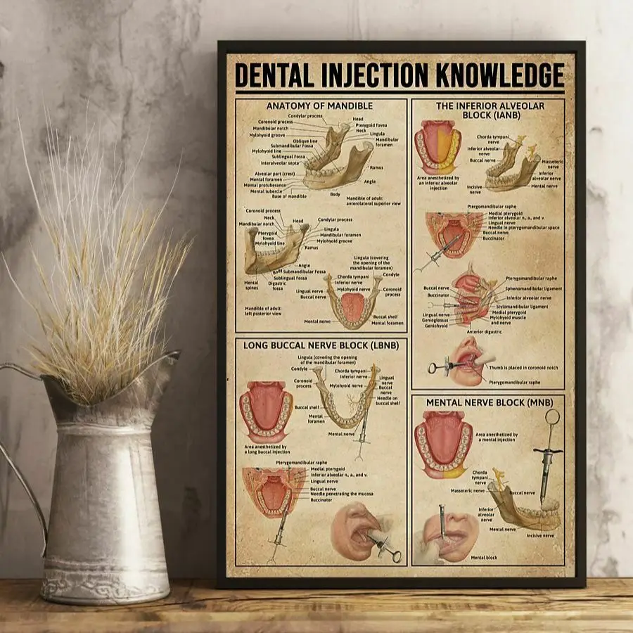 Dental Injection Knowledge Gift for Dentist Clinic Mural Wall Art Pictures Posters Canvas Paintings Room Decorations Home Decor
Dental Injection Knowledge Gift for Dentist Clinic Mural Wall Art Pictures Posters Canvas Paintings Room Decorations Home Decor