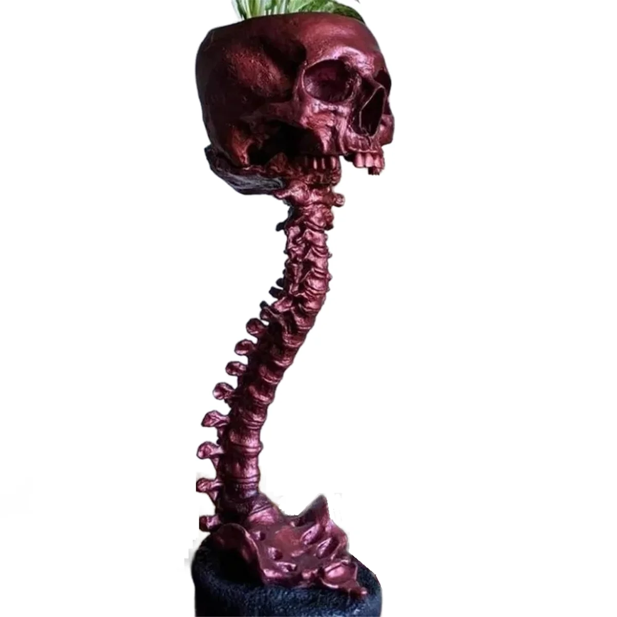 

Resin Skull Planter & Spine Stand Set, Polyresin Skulls Pot, Halloween Decoration Retro Human Skull Head Flower, Red