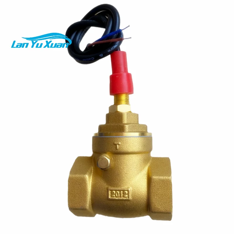 

All-copper check valve 4 points DN15/20/25/32/40/50 water flow switch piston sensor induction switch