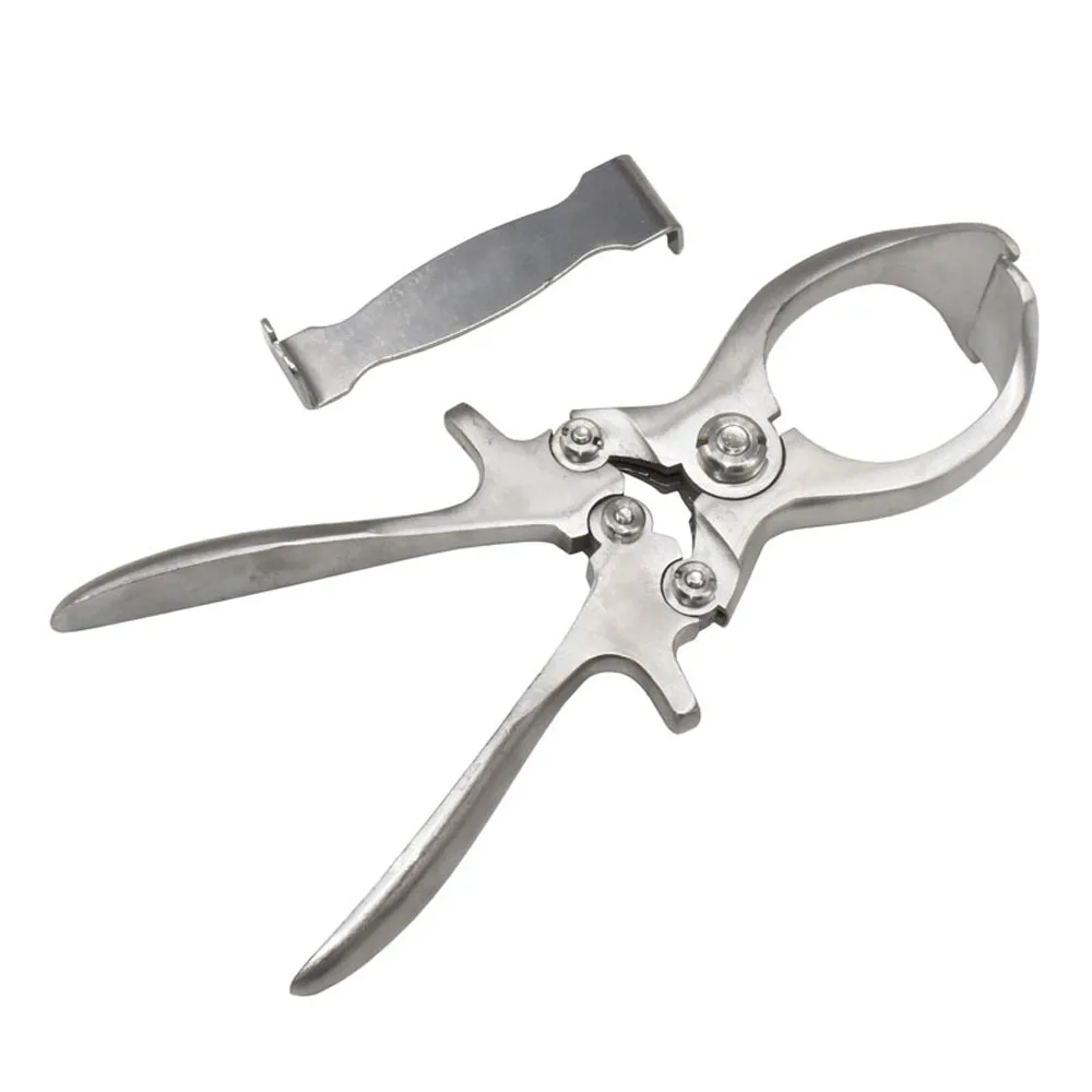 1 Pcs Stainless Steel Without Blood Pig Sheep castration Clamp Castration Tool Castration Forceps Veterinary Special Tools
1 Pcs Stainless Steel Without Blood Pig Sheep castration Clamp Castration Tool Castration Forceps Veterinary Special Tools