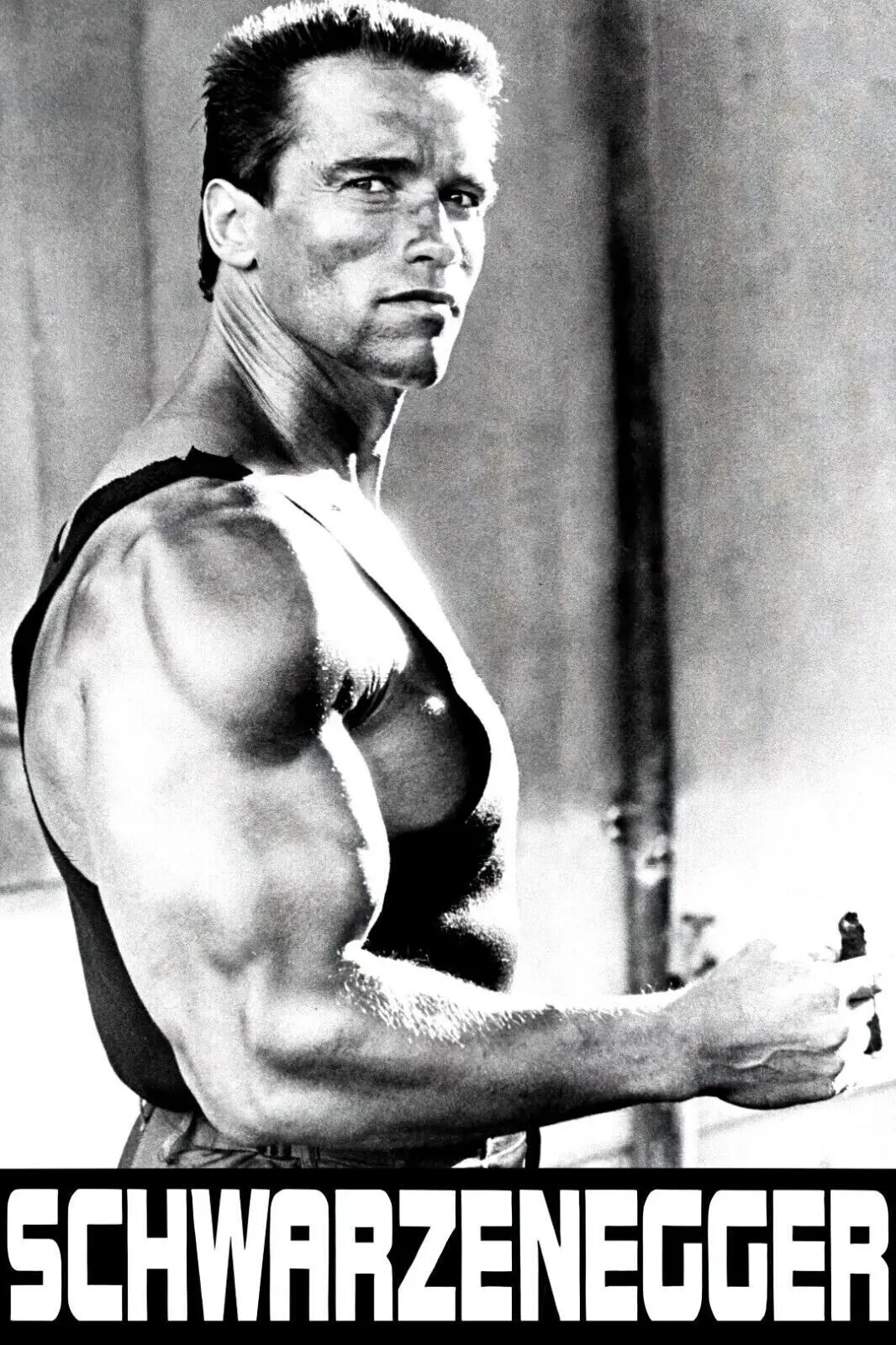 SCHWARZENEGGER PREMIUM Print Art Canvas Poster For Living Room Decor Home Wall Picture
SCHWARZENEGGER PREMIUM Print Art Canvas Poster For Living Room Decor Home Wall Picture