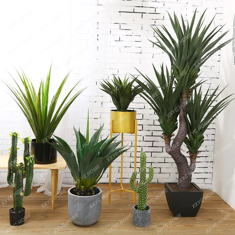 Fake Succulent Potted Desert Green Plant Cactus Window Shopping Mall Store Plant Ornaments Simulation
Fake Succulent Potted Desert Green Plant Cactus Window Shopping Mall Store Plant Ornaments Simulation