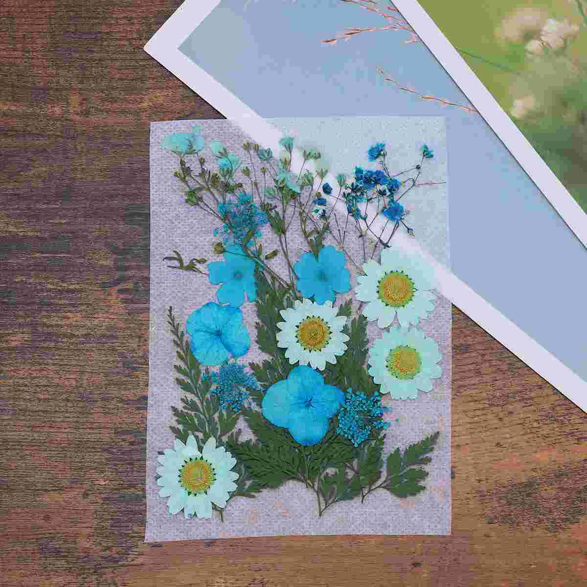 Сухие и прессованные цветы «сделай сам», аксессуары для ногтей из смолы, ювелирные изделия, рукоделие, наклейки для ногтей, «сделай сам», 35 шт. 
Сухие и прессованные цветы «сделай сам», аксессуары для ногтей из смолы, ювелирные изделия, рукоделие, наклейки для ногтей, «сделай сам», 35 шт.