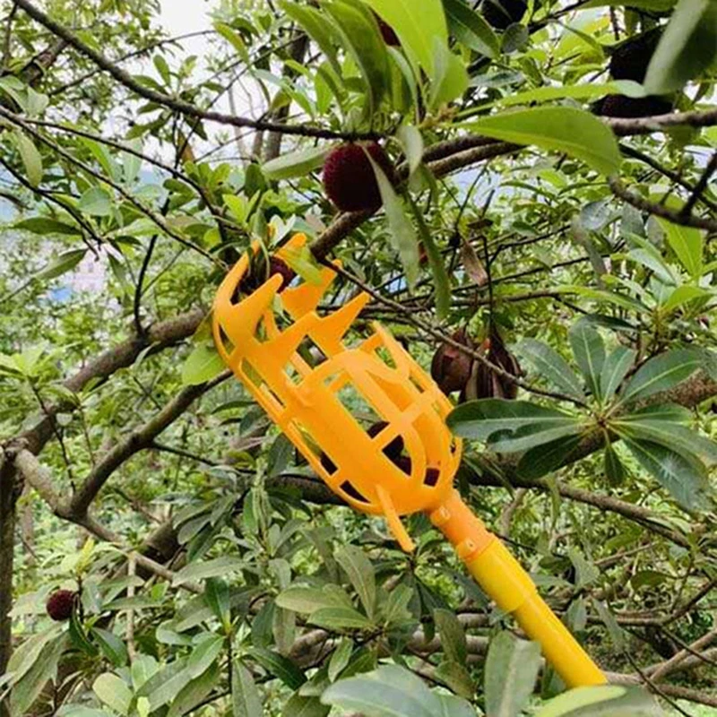 1Pc Fruit Picker White Yellow Plastic High-Altitude Fruit Picking Device Agricultural Bayberry Jujube Picking Supplies
1Pc Fruit Picker White Yellow Plastic High-Altitude Fruit Picking Device Agricultural Bayberry Jujube Picking Supplies