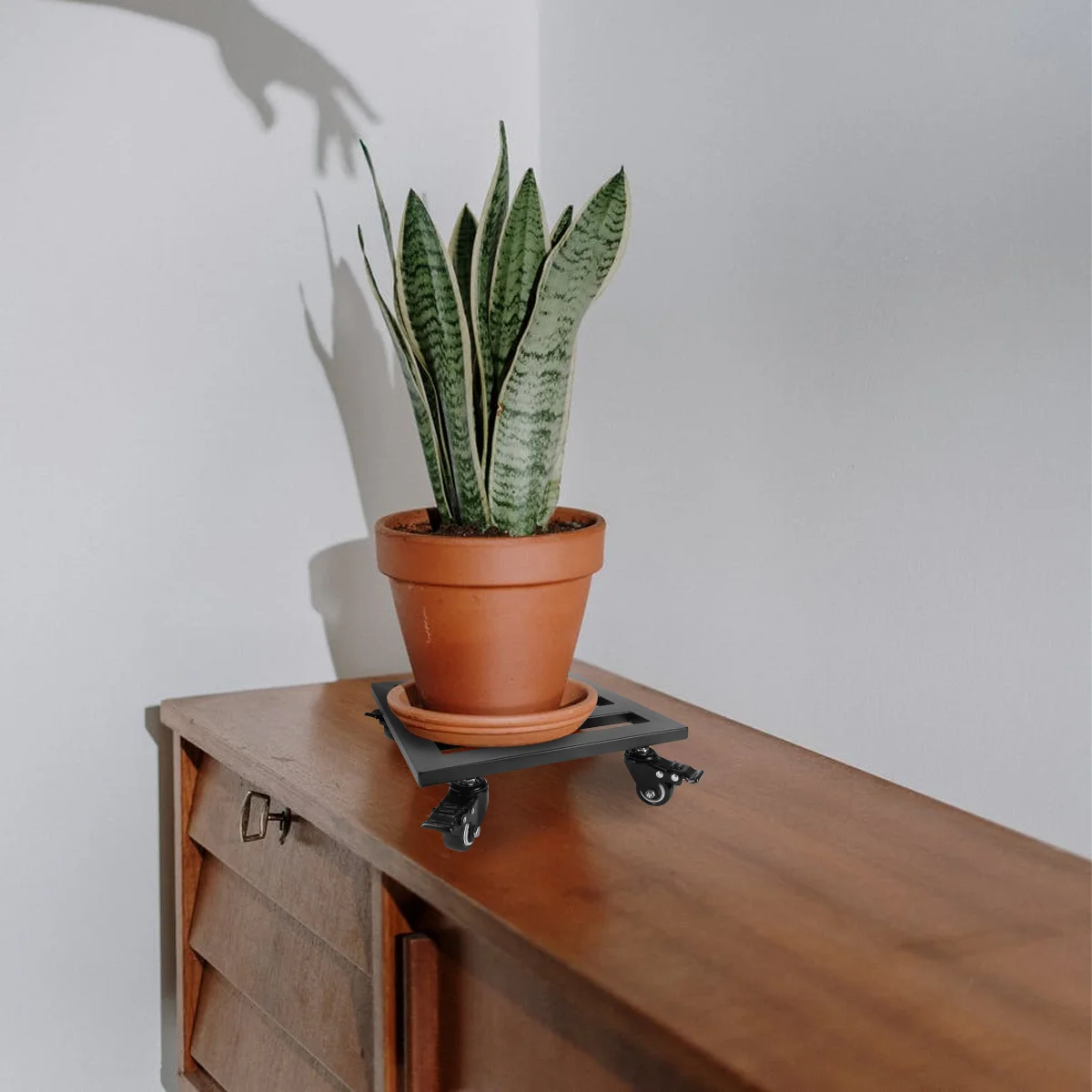 Removable Universal Wheel Flower Pot Tray Floor Plant Stand with Wheels Small Flowerpot Iron Trays
Removable Universal Wheel Flower Pot Tray Floor Plant Stand with Wheels Small Flowerpot Iron Trays