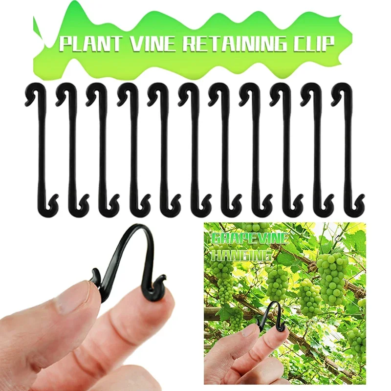 100PCS Garden Plants Vines Fixed Clips Tied Buckles Lashing Hook for Kiwi Grape Cucumber Tomato Stems Fastener Grafting Gadgets
100PCS Garden Plants Vines Fixed Clips Tied Buckles Lashing Hook for Kiwi Grape Cucumber Tomato Stems Fastener Grafting Gadgets
