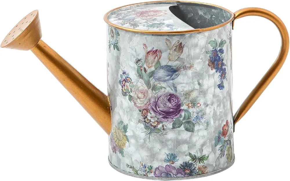 Watering Can Outdoor and Indoor Watering Can for Plants Flower Market ELEGANT OUTDOOR GARDENING TOOL
Watering Can Outdoor and Indoor Watering Can for Plants Flower Market ELEGANT OUTDOOR GARDENING TOOL