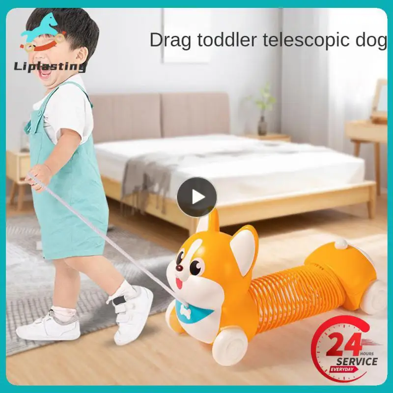 Милая собака высокого качества, плающая собака, милая Имитация животных, новые и забавные игрушки, детская собака, динамическая музыка для детей 
Милая собака высокого качества, плающая собака, милая Имитация животных, новые и забавные игрушки, детская собака, динамическая музыка для детей