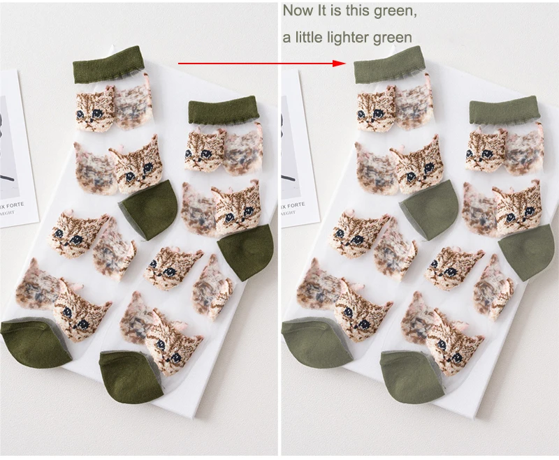 S2dd4ca3156c94e19b104e00bb5cd36465