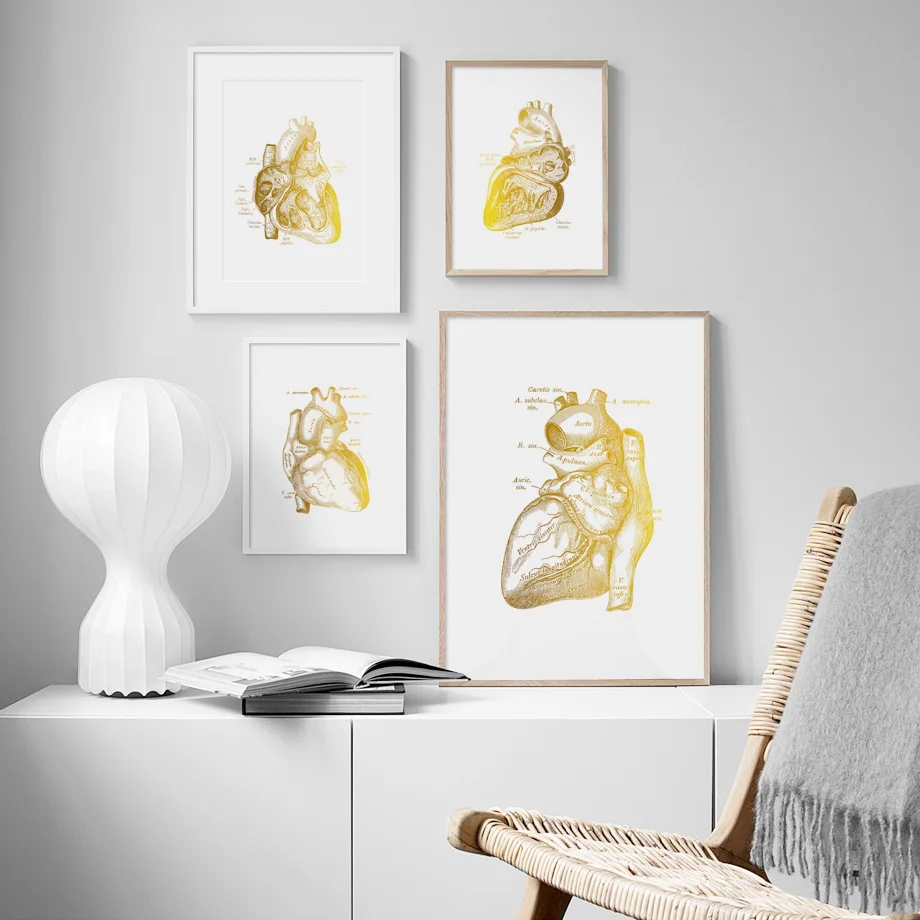 Canvas Painting Medicine Anatomy Skeleton Heart VintageNordic Posters And Prints Wall Art Pictures For Living Room Home Decor
Canvas Painting Medicine Anatomy Skeleton Heart VintageNordic Posters And Prints Wall Art Pictures For Living Room Home Decor