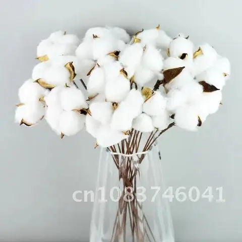 Artificial White Cotton Flower Bouquet Decorations 30 Pieces for Home Wedding Bridal Shower Birthday Decor
Artificial White Cotton Flower Bouquet Decorations 30 Pieces for Home Wedding Bridal Shower Birthday Decor