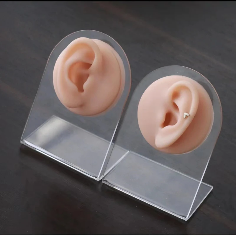 

Silicone Ear Simulation Human Five Senses Model Props Compulsion Art Painting Tattoo Tattoo Jewelry With Display Stand