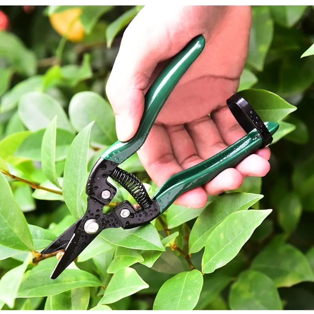 green Gardening Scissors Household Fruit Tree Pruning Scissors Shears Rough Branch Fruit Picking Scissors Garden
green Gardening Scissors Household Fruit Tree Pruning Scissors Shears Rough Branch Fruit Picking Scissors Garden