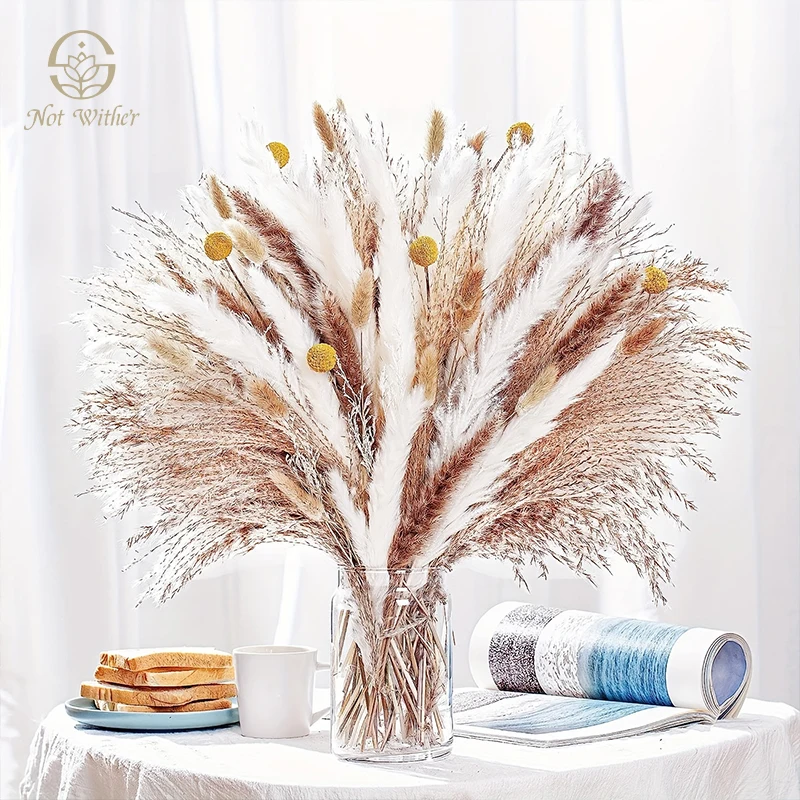 Natural Dry Pampas Grass Dried Flower Bunny Tails Bouquet Wedding Floral Arrangements Artifical Flower Autumn Fall Home Decor
Natural Dry Pampas Grass Dried Flower Bunny Tails Bouquet Wedding Floral Arrangements Artifical Flower Autumn Fall Home Decor