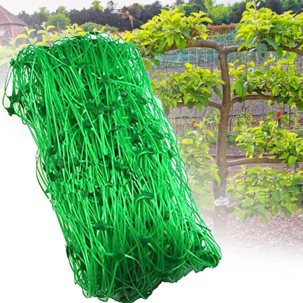 New Garden Plant Climbing Trellis Net Plastic Nylon Net Green Garden Net Trellis Net For Bean Fruits Vegetables Climbing Plants
New Garden Plant Climbing Trellis Net Plastic Nylon Net Green Garden Net Trellis Net For Bean Fruits Vegetables Climbing Plants