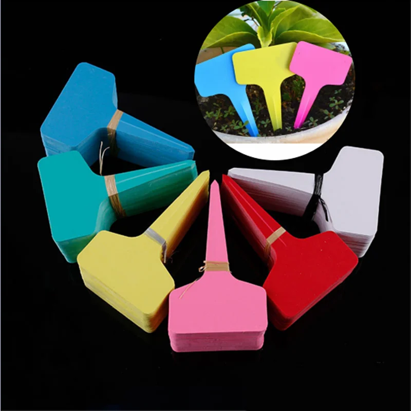 100Pcs T-type Plant Tags Waterproof Re-Usable Nursery Flower Pots Marker Vegetables Herb Sign DIY Garden Decoration Tools
100Pcs T-type Plant Tags Waterproof Re-Usable Nursery Flower Pots Marker Vegetables Herb Sign DIY Garden Decoration Tools