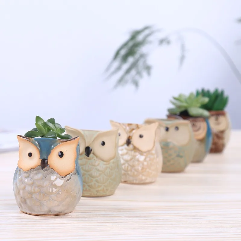 Cartoon Animal Owl Flower Pot Creative Personality Home Horticulture Meaty Ceramic Pot
Cartoon Animal Owl Flower Pot Creative Personality Home Horticulture Meaty Ceramic Pot