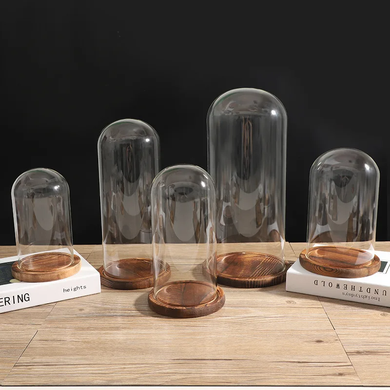 3 Pack Multiple Sizes Glass Display Dome Cloche Small Size Office Home Decoration for Plants, Photos,Toys (Brown Wood Base)
3 Pack Multiple Sizes Glass Display Dome Cloche Small Size Office Home Decoration for Plants, Photos,Toys (Brown Wood Base)