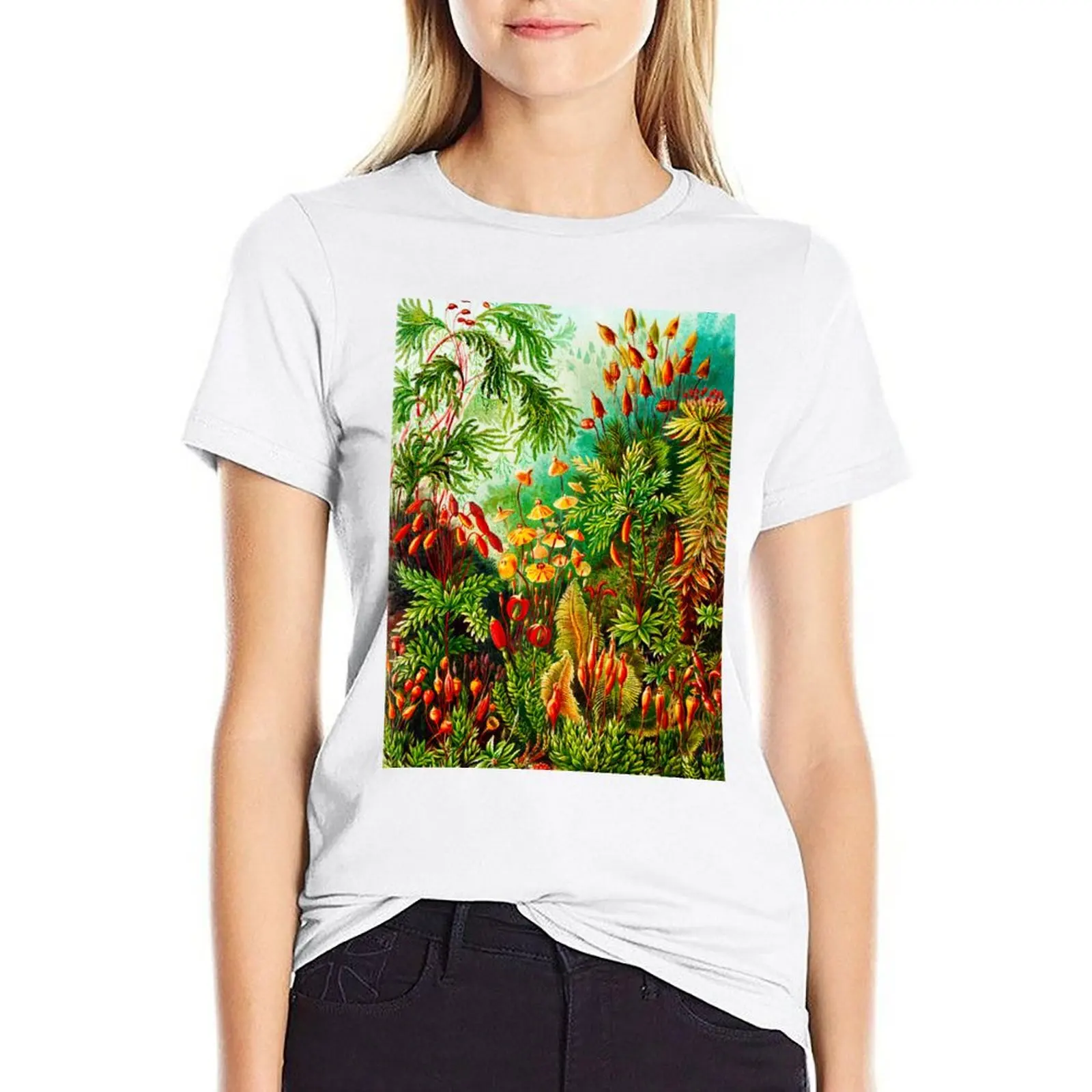 Muscinae–Laubmoose - mosses-Vintage Botanical by Ernst Haeckel T-shirt Short sleeve tee Blouse clothes for Women
Muscinae–Laubmoose - mosses-Vintage Botanical by Ernst Haeckel T-shirt Short sleeve tee Blouse clothes for Women