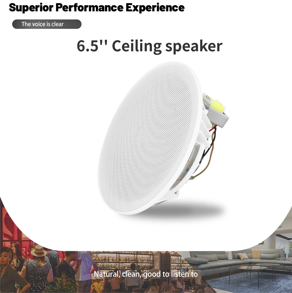 

Passive Ceiling Speakers 6.5-inch 10W Loudspeaker ABS Environmentally Friendly Plastic Full Metal Mesh for Public Address System