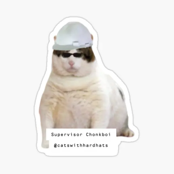 Supervisor Chonkboi 5PCS Stickers for Laptop Bumper Home Luggage Wall Decorations Kid Funny Room Car Print Cute Background Art
Supervisor Chonkboi 5PCS Stickers for Laptop Bumper Home Luggage Wall Decorations Kid Funny Room Car Print Cute Background Art