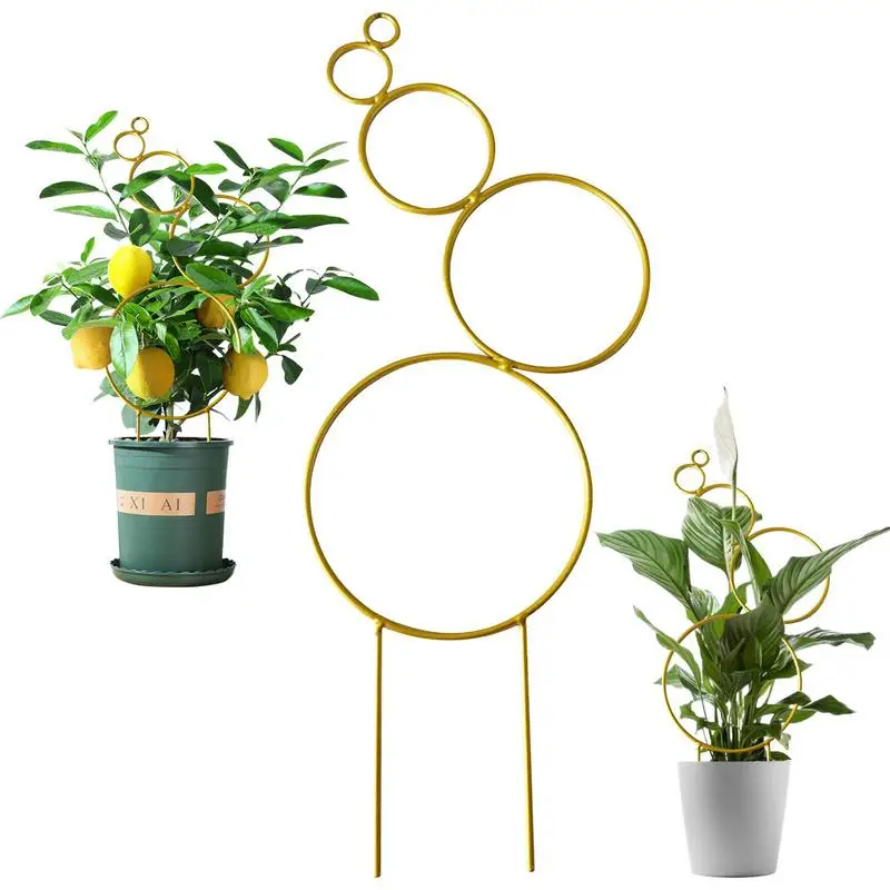 Trellis For Potted Plants Indoor Tower Obelisk Garden Trellis Plant Support Vine Supports Support Stake House Plant Trellis For
Trellis For Potted Plants Indoor Tower Obelisk Garden Trellis Plant Support Vine Supports Support Stake House Plant Trellis For