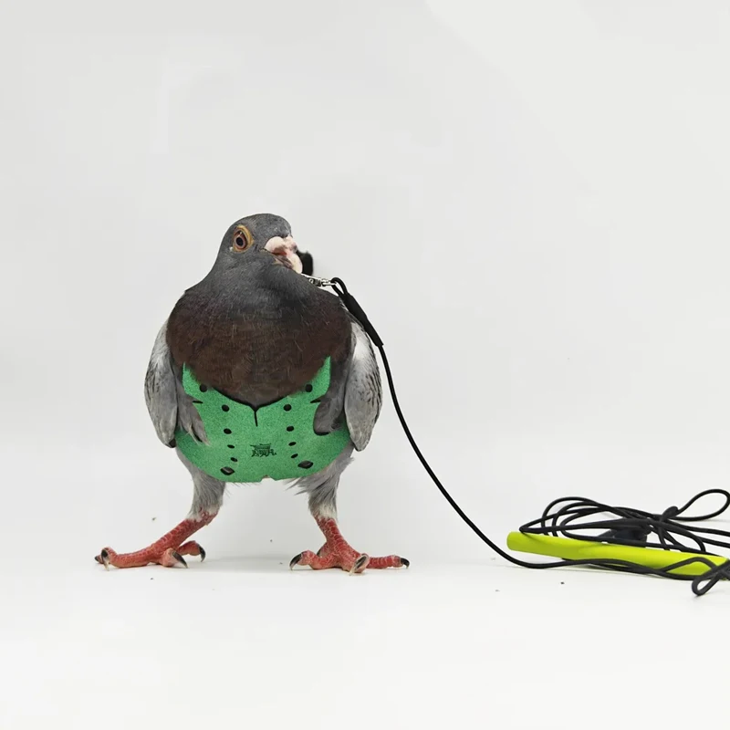 

Parrot Pigeon Harness And Leash Flying Anti-bite Traction Rope Straps Bird Training Outdoor Carrying Adjustable Bird Pet Product