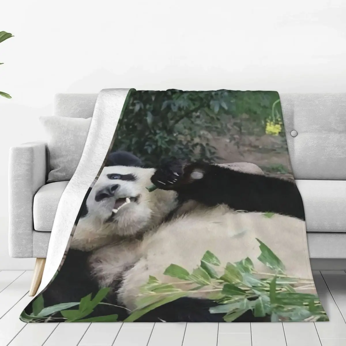 Fubao Aibao Panda Fu Bao Blanket Warm Cozy Hypoallergenic Throw Blankets for Durable Long-Lasting Home Decor
Fubao Aibao Panda Fu Bao Blanket Warm Cozy Hypoallergenic Throw Blankets for Durable Long-Lasting Home Decor