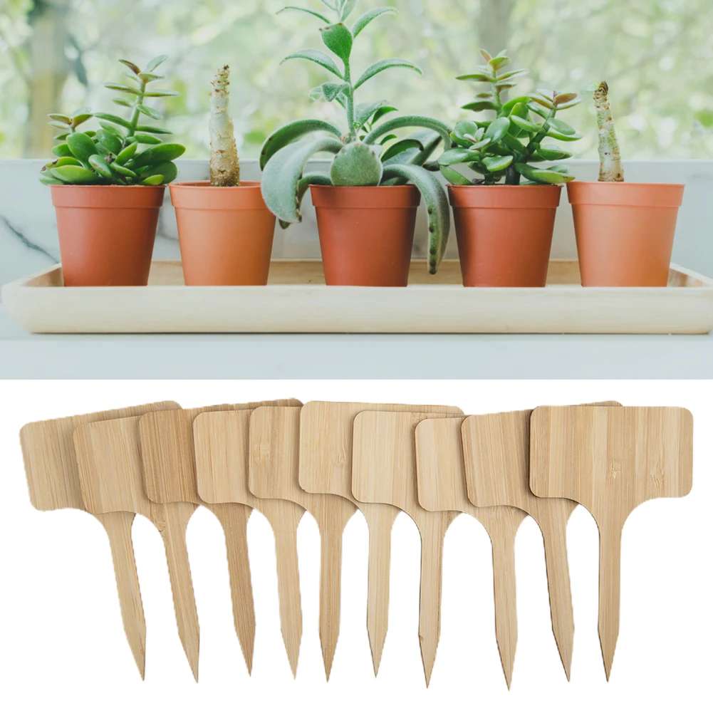 10PCS Plant Label T-Type Wooden Plant Tags For Garden Plant Potted Herbs Label Markers Supplies For Nursery Stock Greenhouses
10PCS Plant Label T-Type Wooden Plant Tags For Garden Plant Potted Herbs Label Markers Supplies For Nursery Stock Greenhouses